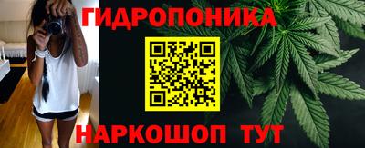 бошки Славянск-на-Кубани