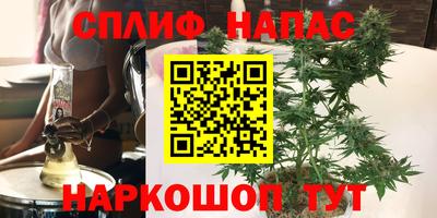 бошки Славянск-на-Кубани
