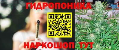 бошки Славянск-на-Кубани
