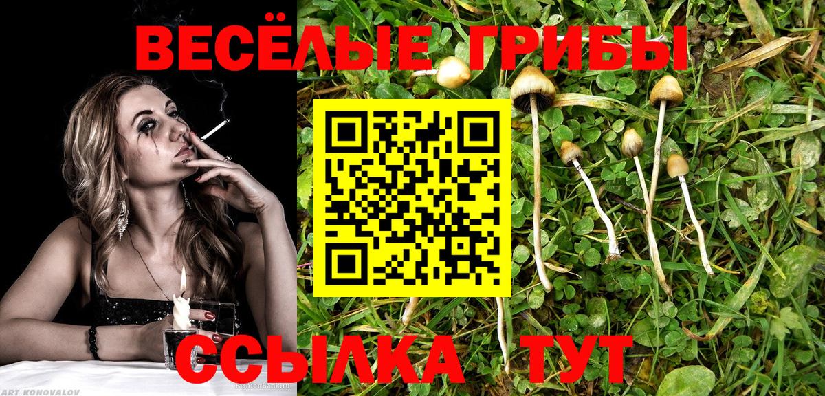 Галлюциногенные грибы мухоморы  Вход с VPN  Химки 