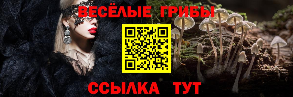 Псилоцибиновые грибы Magic Shrooms Химки